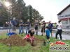 20240430baum 18